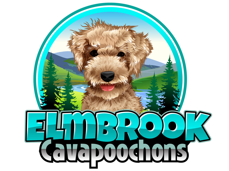 Elmbrook Cavapoochons logo design by DreamLogoDesign