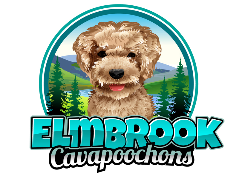 Elmbrook Cavapoochons logo design by DreamLogoDesign