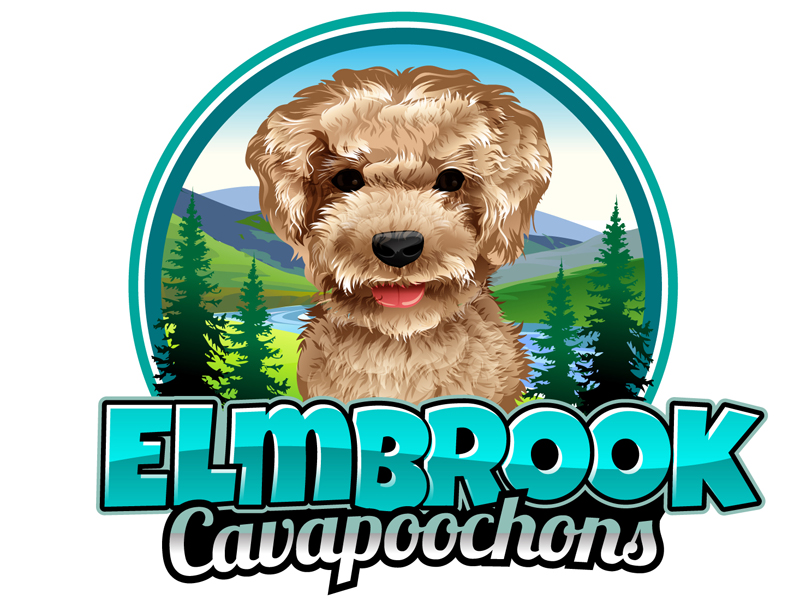 Elmbrook Cavapoochons logo design by DreamLogoDesign