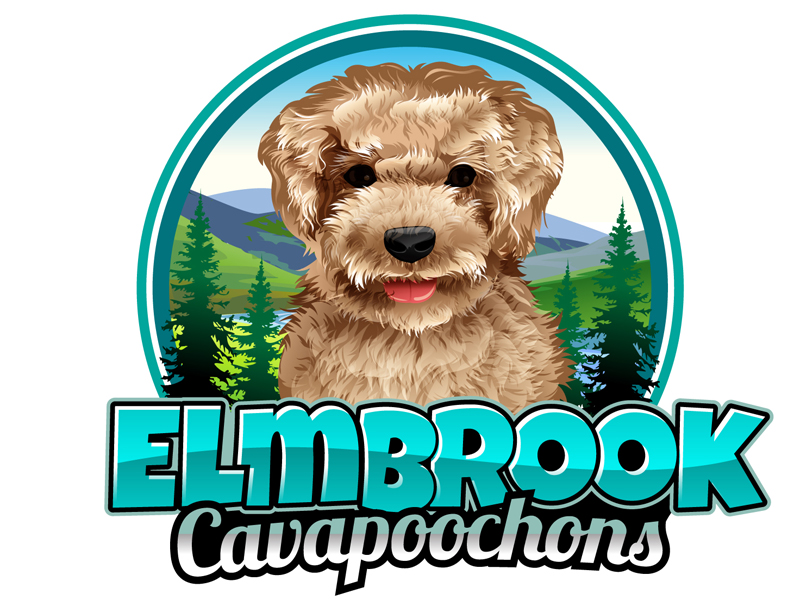 Elmbrook Cavapoochons logo design by DreamLogoDesign