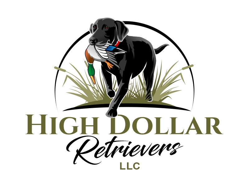 High Dollar Retrievers LLC Logo Design